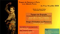 Stages de danse Flamenco / Paris / Juillet 2020. Du 11 au 14 juillet 2020 à Paris12. Paris. 